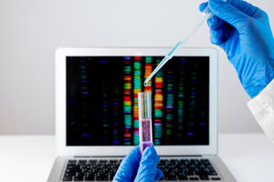 Serviço de buffet para eventos pela Mape