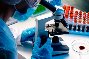 Locações de equipamentos para eventos pela Mape