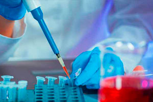 Locações de equipamentos para eventos pela Mape